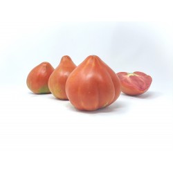Tomate valenciano (500g)